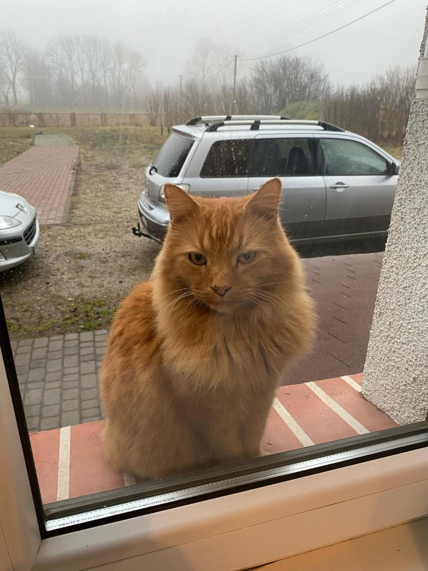 Stara Szkolas7 Noclegi,Mzajezierze 8 14-330 Mazury Małdyty Exterior foto