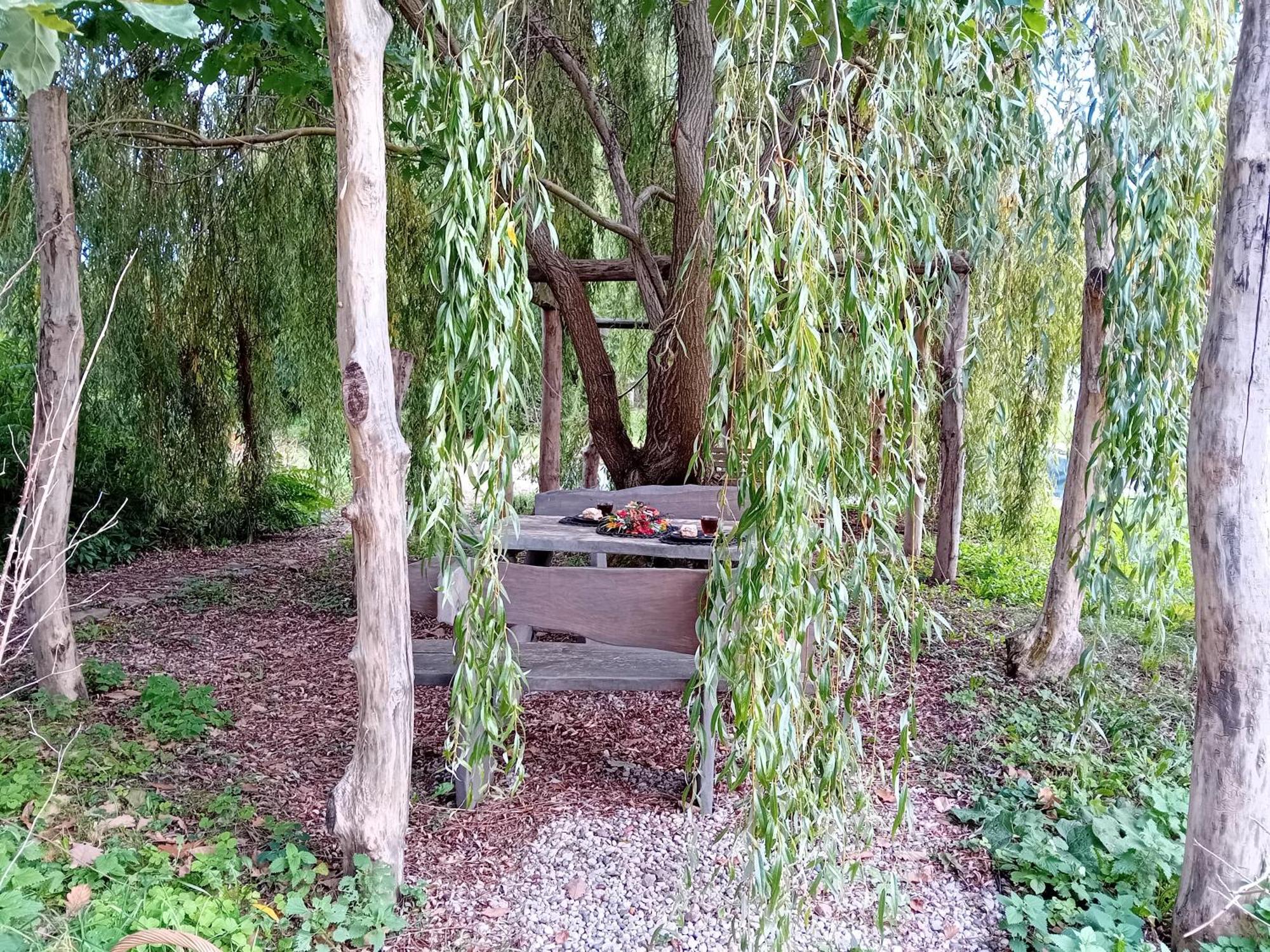 Stara Szkolas7 Noclegi,Mzajezierze 8 14-330 Mazury Małdyty Exterior foto
