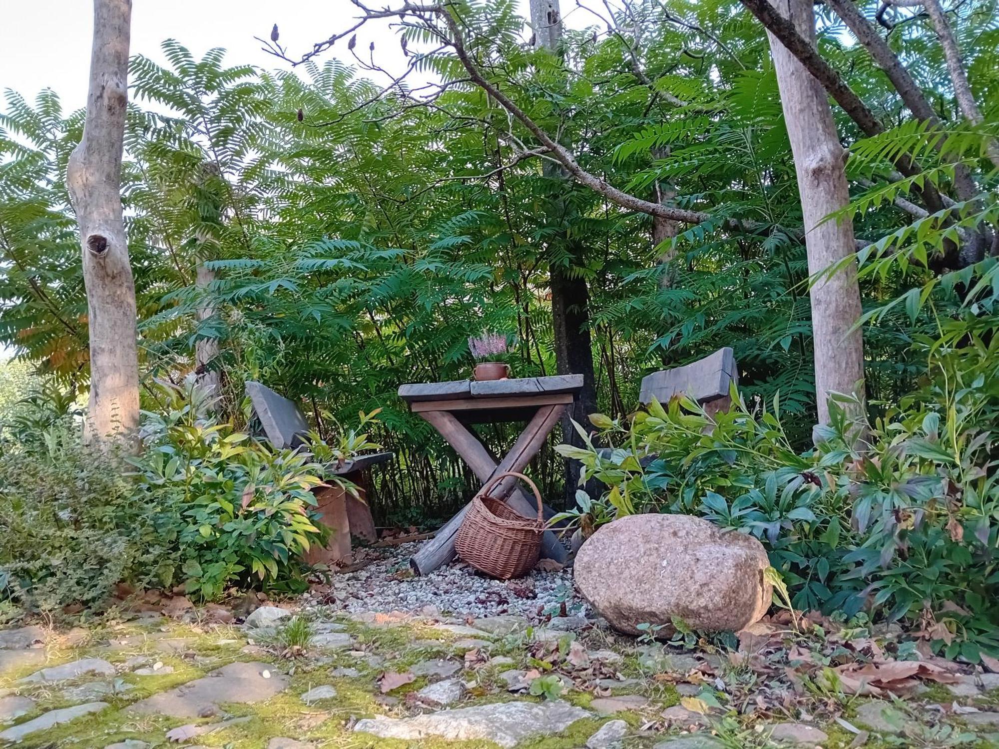 Stara Szkolas7 Noclegi,Mzajezierze 8 14-330 Mazury Małdyty Exterior foto